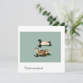 Die Enten. Schützen Sie Ihren Frieden (Stehend Vorderseite)