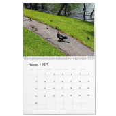 DIE ENTENPATROUILLE, 2026 KALENDER (Feb 2027)