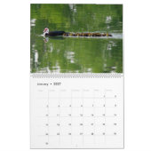 DIE ENTENPATROUILLE, 2026 KALENDER (Jan 2027)