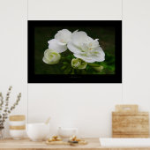 die Entfaltung Poster (Küche)