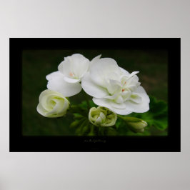 die Entfaltung Poster