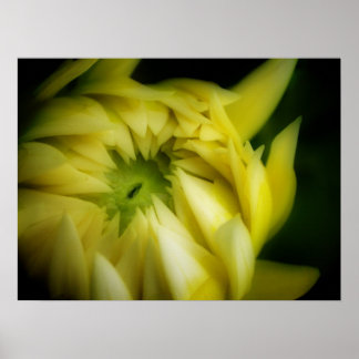 Die Entfaltung Poster