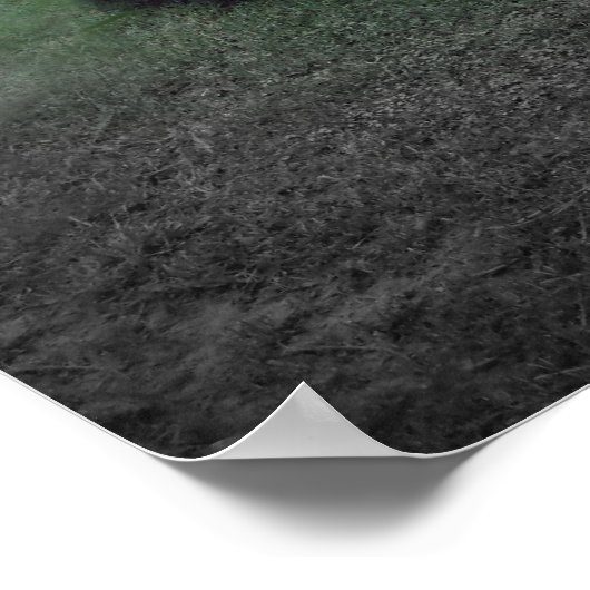 Die entgangene Entschließung Poster (Ecke)