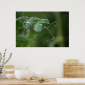 Die Erbsen Poster (Küche)