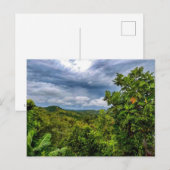 Die Erde, die Frucht bringt Postkarte (Vorne/Hinten)