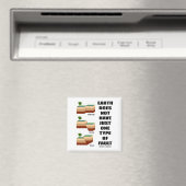 Die Erde hat nicht nur eine Art Fehler Magnet (In Situ (Geschirrspüler))