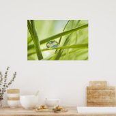 Die Erde im Tropfen Poster (Küche)