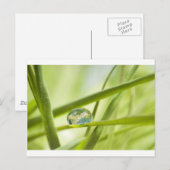 Die Erde im Tropfen Postkarte (Vorne/Hinten)