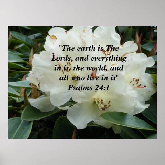Die Erde ist die Lords ~Print~ Poster (Vorne)