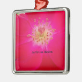 Die Erde ist eine Illusion Silbernes Ornament (Links)