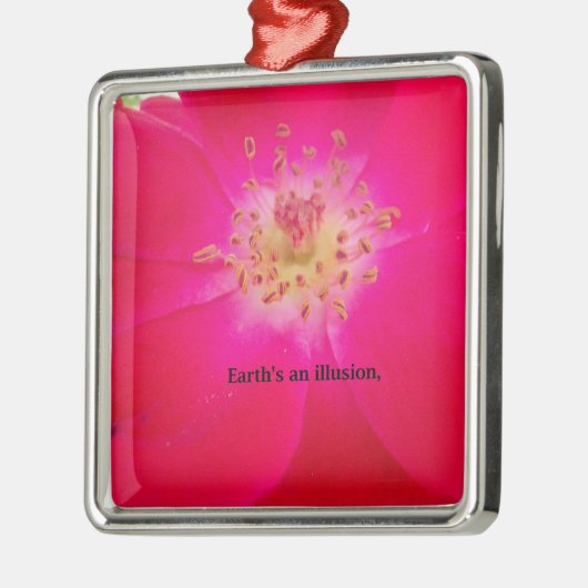 Die Erde ist eine Illusion Silbernes Ornament (Links)