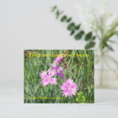 DIE ERDLAGE IN BLUME - DIANTHUS POSTKARTE (Stehend Vorderseite)