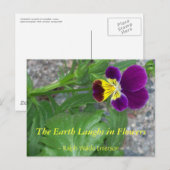 DIE ERDLAGEN IN BLUME - VIOLA POSTKARTE (Vorne/Hinten)