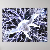 Die Erhebung Poster (Vorne)