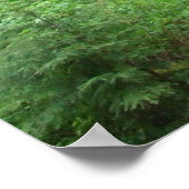 Die Erholung der Bäume Poster (Ecke)