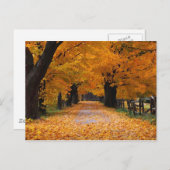 Die Erinnerungsstrecke des Herbstes herunterlaufen Postkarte (Vorne/Hinten)