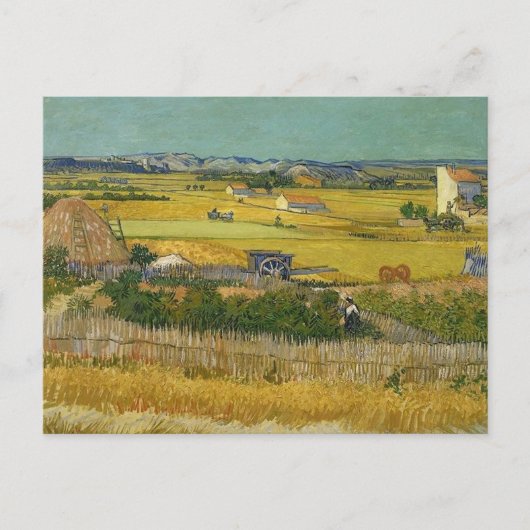 Die Ernte Vincent van Gogh Postkarte (Vorderseite)