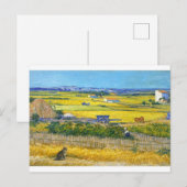 Die Erntekatze Postkarte (Vorne/Hinten)