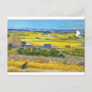 Die Erntekatze Postkarte