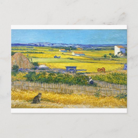 Die Erntekatze Postkarte (Vorderseite)