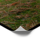 Die Eroberung des Berges Poster (Ecke)