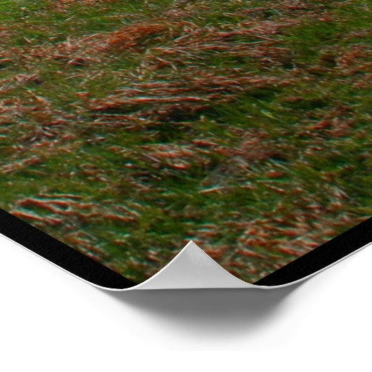 Die Eroberung des Berges Poster (Ecke)