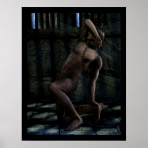 Die Eroberung des Schicksals Poster