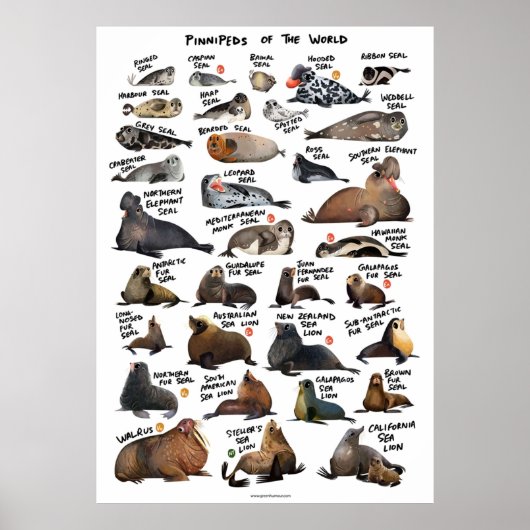 Die Errungenschaften der Welt Poster (Vorne)