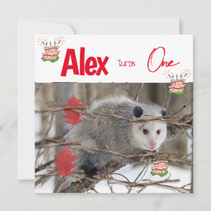 Die erste Einladung zum Geburtstag von Kindern - d