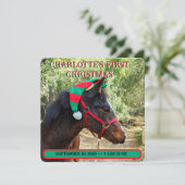 Die erste Geburtserklärung des Babys zu Weihnachte (Stehend Vorderseite)