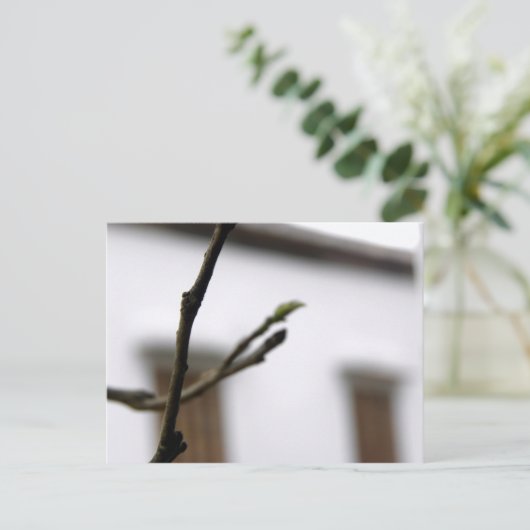 Die erste postkarte (Stehend Vorderseite)