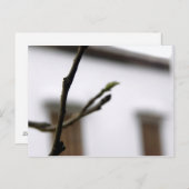 Die erste postkarte (Vorne/Hinten)