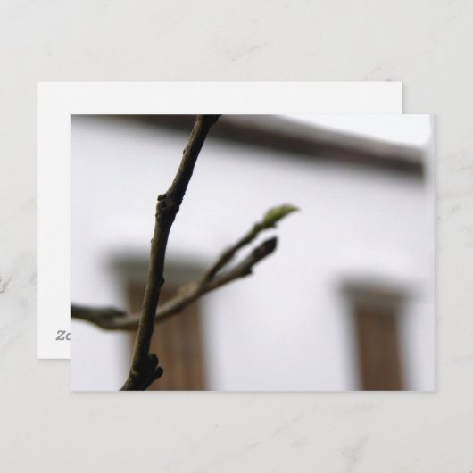 Die erste postkarte (Vorne/Hinten)