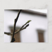 Die erste postkarte (Vorderseite)