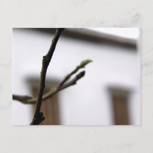 Die erste postkarte (Vorderseite)