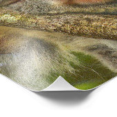 Die Erweiterung des Koala-Bären Fotodruck (Ecke)