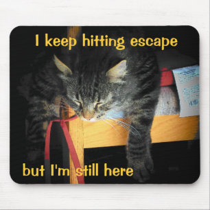 Die Escape-Taste funktioniert nicht, traurige Katz Mousepad