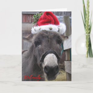 "Die Esel machen große Santas!" Feiertagskarte