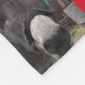 "Die Esel machen große Santas!" Fleecedecke (Ecke)