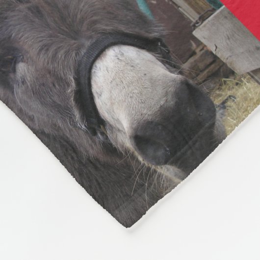 "Die Esel machen große Santas!" Fleecedecke (Ecke)