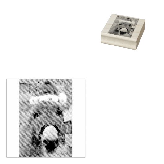 "Die Esel machen große Santas!" Gummistempel (Stempel)