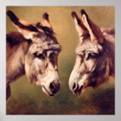 Die Esel Schaarbeek Poster (Vorne)