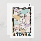 Die Etosha-Postkarte Postkarte (Vorne/Hinten)