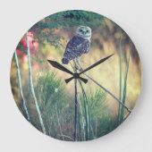Die Eule graben gehockt ringsum Uhr (Vorderseite)