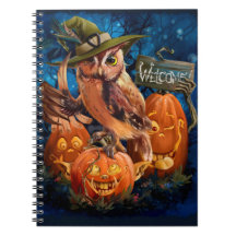 Die Eule im Zauberhut und ihre Kürbisfreunde