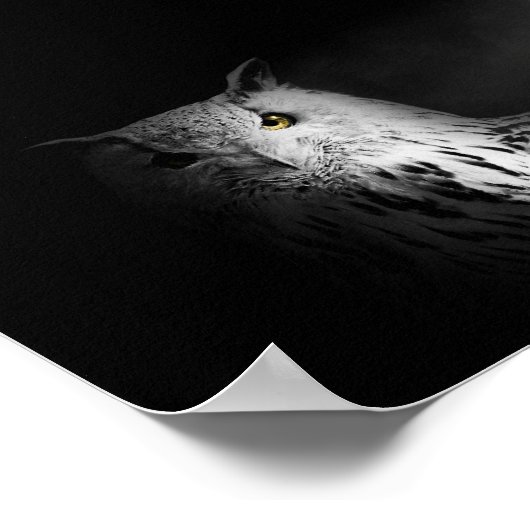 Die Eule, schwarz-weiß, Foto Poster (Ecke)