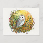 Die Eule und der Mond Postkarte (Vorderseite)
