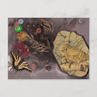 die Eule und der Schmetterling Postkarte