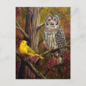 Die Eule und die Kanarischen Inseln Postkarte (Vorderseite)