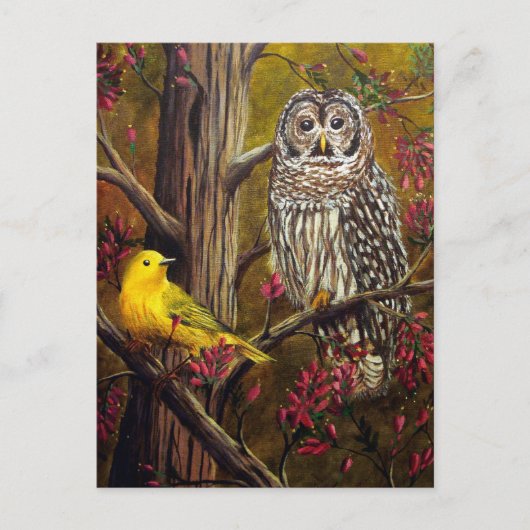 Die Eule und die Kanarischen Inseln Postkarte (Vorderseite)